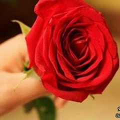 Samia Yaseen