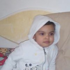 سلمان العودة