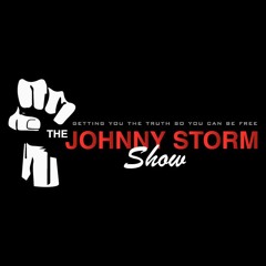 Johnny Storm 7