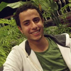 Mohamed Bereikaa