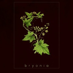 bryonia