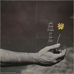 هاله هشام