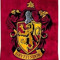 Yoalli Gryffindor