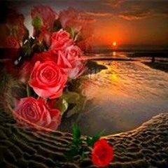 Omswelam Khaled