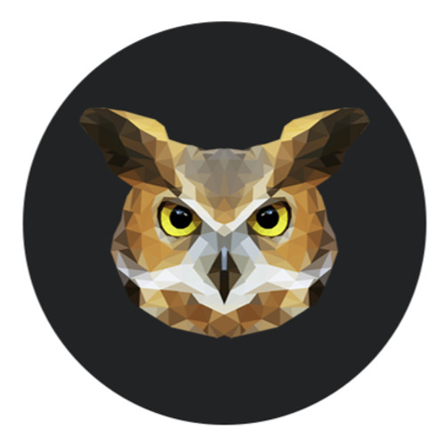 Noisy Owl’s avatar