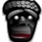 hawaiianboy808