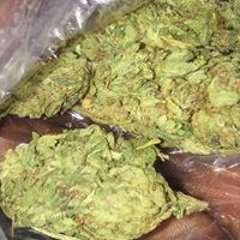 Kevin Antonio Williams