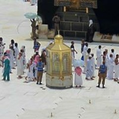 عزنا المعز سليمان