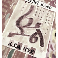 Feedel Band - Ethio Jazz