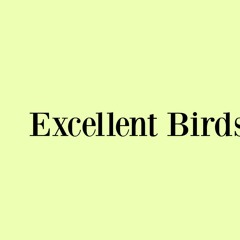 Excellent Birds