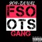 #FSO #OTS