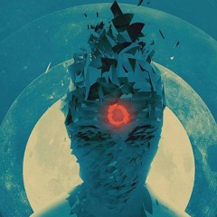 Paul Craig