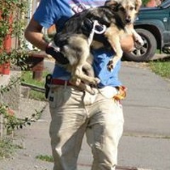 Silviu Skn