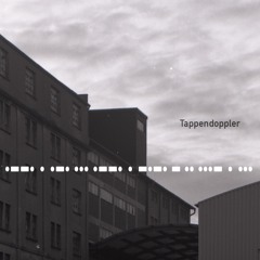 Tappendoppler*in