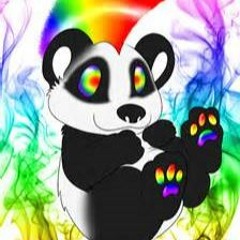 RAINBOW PANDA