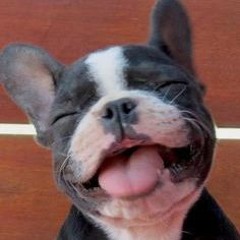 hayley schwartzberg :)