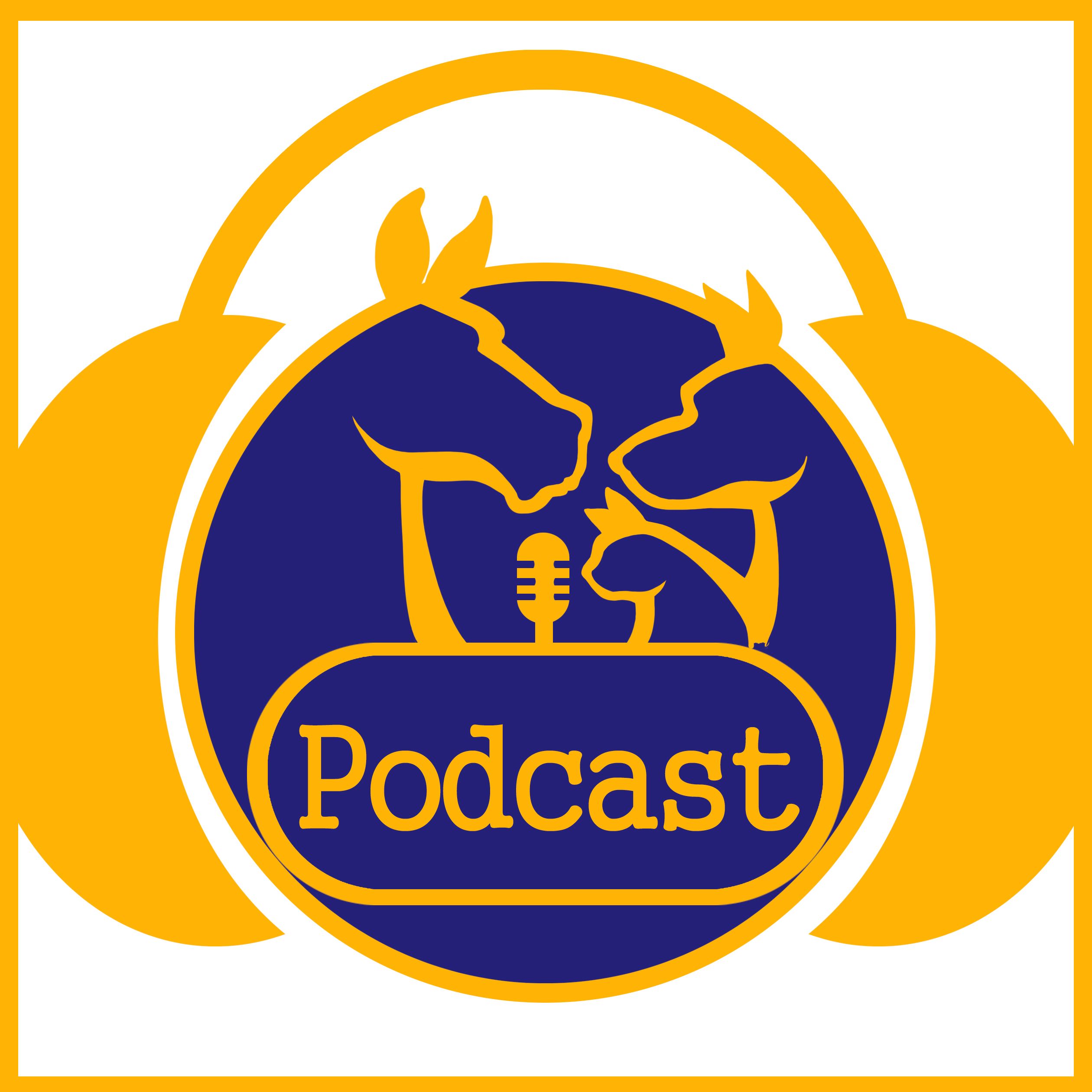 Vet Talk the Veterinary Podcast