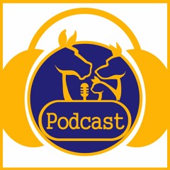 theveterinarypodcast