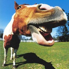 Andrew Mura Outtakes