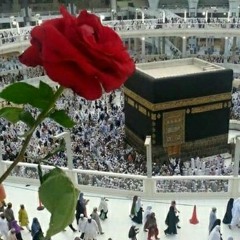 الأزهرية#أمي❤