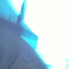 Andrew of Service Animal