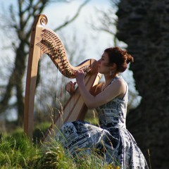 Teifi Harps