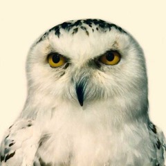 Hedwig Hegelbert
