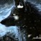 Dark Emo Wolf