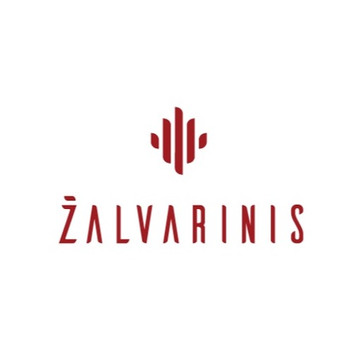 Žalvarinis-Music’s avatar