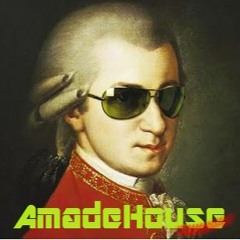 AmadeHouse