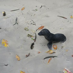 kaboboseal