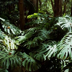 Beth Carter-Woodhouse