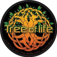 Evolutions Architect