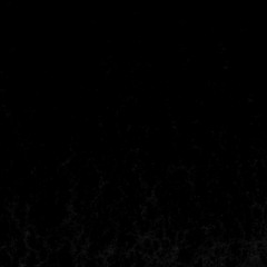 Move/in\Black
