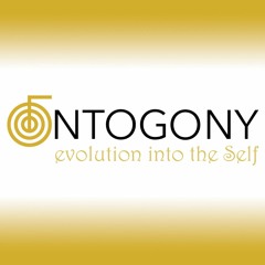 Ontogony Evolution Center