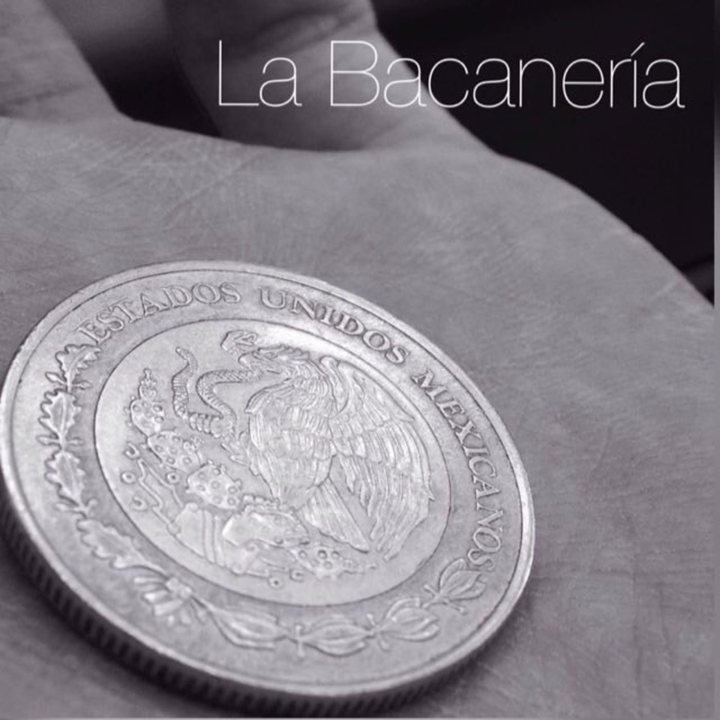 La Bacanería