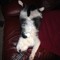 CAT_COE