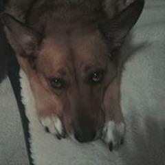 Patricia Sanders McCoy