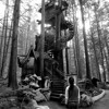 Treehaus