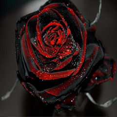 Rose McAlister