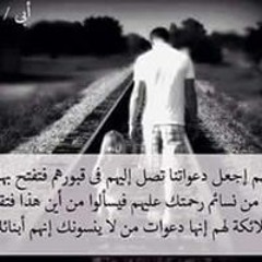 محمد عبدالباري عبداللة