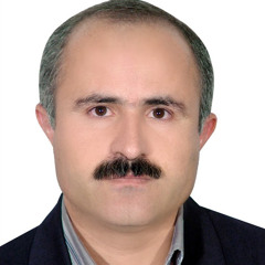 Javad Miri