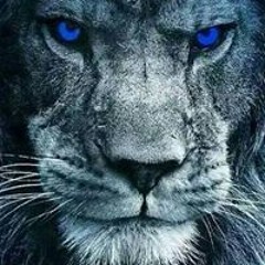 WAV Occupation - live - Motion Notion 2009