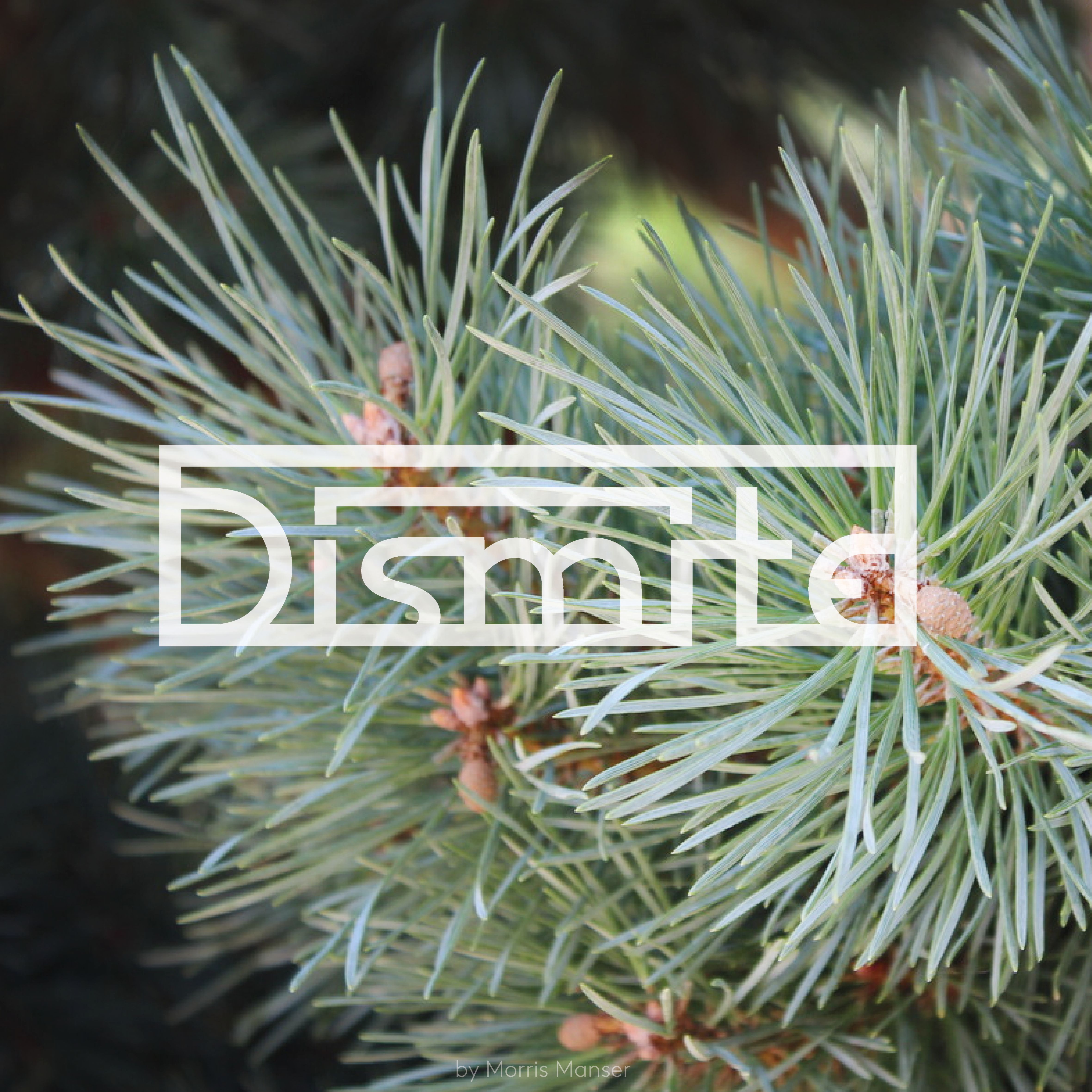 dismite stream