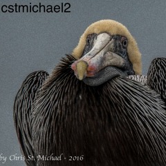cstmichael