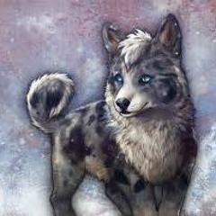 KillerWolf DJ