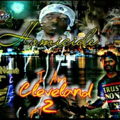 Homicide216