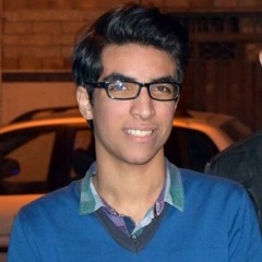 Mohamed A.Hassaan