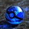 The Pokemon Master