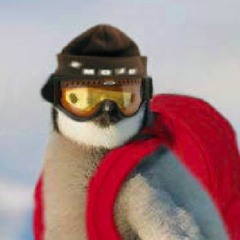 AskifImaPenguin